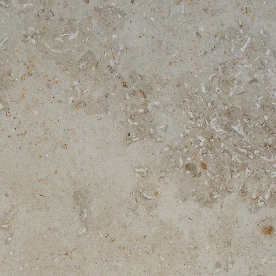 Warm limestone detail with fine fossil and sediment markings