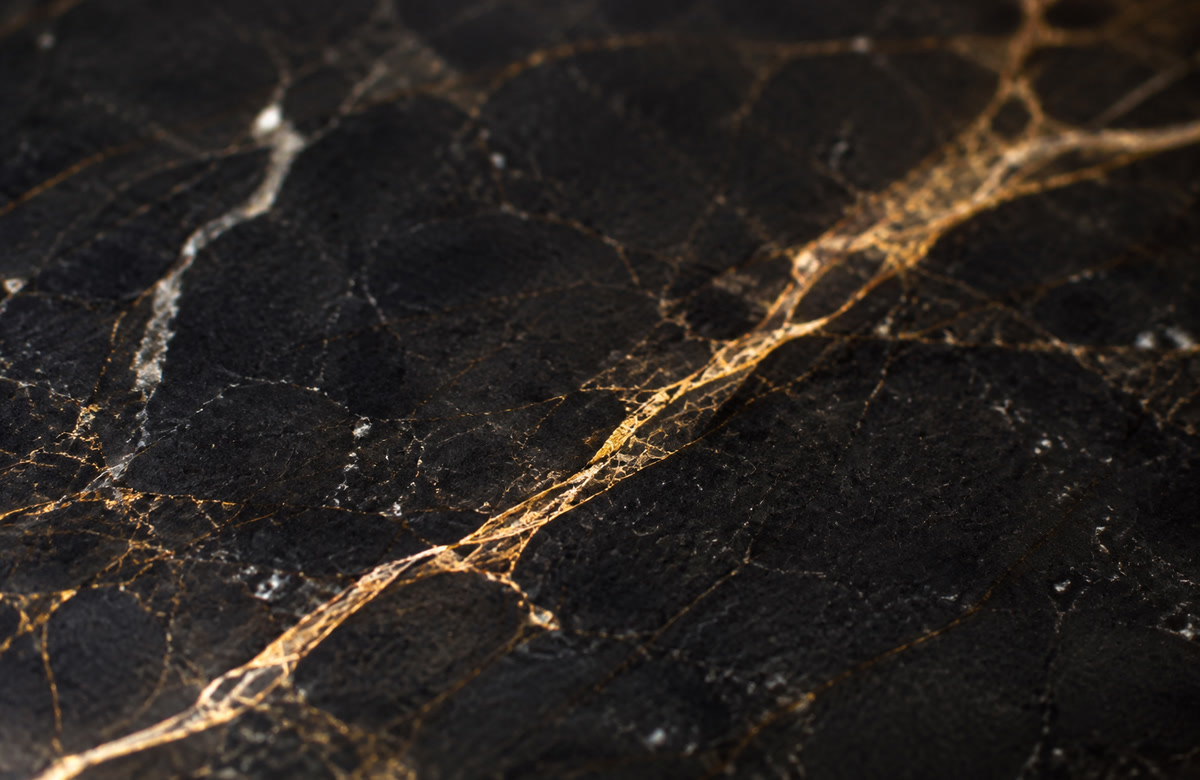 Close detail of polished dark marble with gold and bronze veining